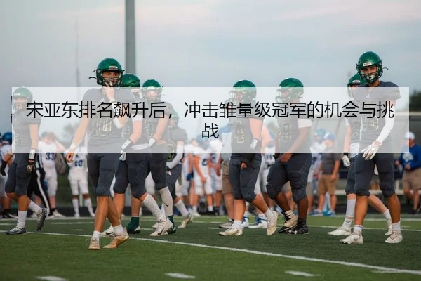 宋亚东排名飙升后，冲击雏量级冠军的机会与挑战